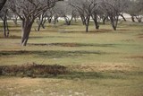 Left side of 9th (towards pin)